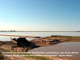 y el aporte de agroquímicos (fertilizantes y pesticidas), que tienen efecto 
directo en los cultivos, pero también se trasladan “aguas abajo”… 
 