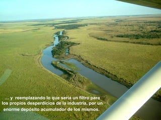 … y reemplazando lo que sería un filtro para 
los propios desperdicios de la industria, por un 
enorme depósito acumulador de los mismos. 
 
