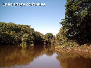 EEss uunn aarrrrooyyoo ccoorrrreennttiinnoo 
 