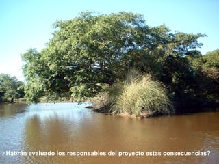 ¿Ha brán evaluado los resp onsables del proyecto estas consecuencias? 
 