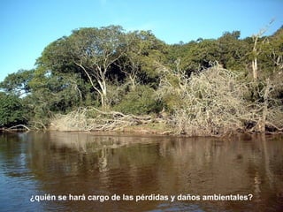 ¿quién se hará car go de las pérdidas y daños ambientales? 
 