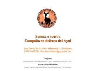 SSuummaattee aa nnuueessttrraa 
CCaammppaaññaa eenn ddeeffeennssaa ddeell AAyyuuíí 
San Martín 941 (3470) Mercedes – Corrientes 
03773-422260 / fundacionibera@payubre.net 
FFoottooggrraaffííaass 
Aníbal Parera, Sebastián Cirignoli, Lucio Contigiani y Francisco Erize. 
AAggrraaddeecciimmiieennttooss eessppeecciiaalleess 
Horacio Cardozo, Ricardo Ibazeta, Carlos Figuerero y Patricio Healy. 
