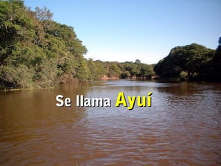 SSee llllaammaa AAyyuuíí 
 