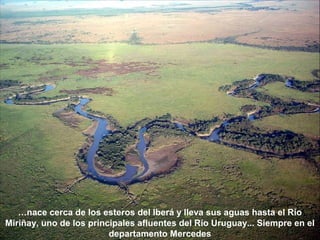 …nace cerca de los esteros del Iberá y lleva sus aguas hasta el Río 
Miriñay, uno de los principales afluentes del Río Uruguay... Siempre en el 
departamento Mercedes 
 