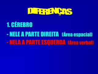 1. CÉREBRO
- NELE A PARTE DIREITA (Área espacial)
- NELA A PARTE ESQUERDA (Área verbal)
 