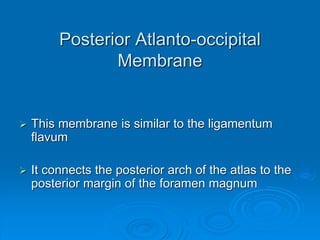 Posterior Atlanto-occipital
Membrane
 This membrane is similar to the ligamentum
flavum
 It connects the posterior arch of the atlas to the
posterior margin of the foramen magnum
 