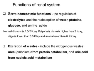  Serve homeostatic functions - the regulation of
electrolytes and the reabsorption of water, ptoteins,
glucose, and amino acids
Normal diuresis is 1.5-2 l/day. Polyuria is diuresis higher than 2 l/day,
oliguria lower than 0.5 l/day and anuria lower than 0.1 l/day.
 Excretion of wastes - include the nitrogenous wastes
urea (amonium) from protein catabolism, and uric acid
from nucleic acid metabolism
Functions of renal system
 