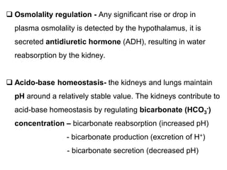  Osmolality regulation - Any significant rise or drop in
plasma osmolality is detected by the hypothalamus, it is
secreted antidiuretic hormone (ADH), resulting in water
reabsorption by the kidney.
 Acido-base homeostasis- the kidneys and lungs maintain
pH around a relatively stable value. The kidneys contribute to
acid-base homeostasis by regulating bicarbonate (HCO3
-)
concentration – bicarbonate reabsorption (increased pH)
- bicarbonate production (excretion of H+)
- bicarbonate secretion (decreased pH)
 