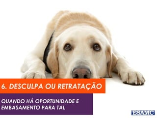 6. DESCULPA OU RETRATAÇÃO 
QUANDO HÁ OPORTUNIDADE E 
EMBASAMENTO PARA TAL 
 