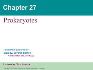 Chapter 27 Prokaryotes 