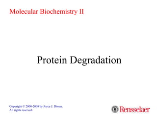 Protein Degradation
Copyright © 2000-2008 by Joyce J. Diwan.
All rights reserved.
Molecular Biochemistry II
 