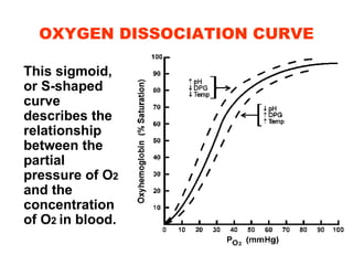 27. respiratory 2-07-08 | PPT