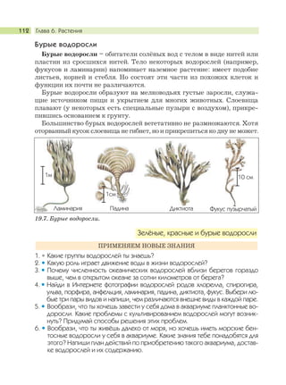 Глава 6. Растения112
Бурые водоросли
Бурые водоросли – обитатели солёных вод с телом в виде нитей или
пластин из сросшихся нитей. Тело некоторых водорослей (например,
фукусов и ламинарии) напоминает наземное растение: имеет подобие
листьев, корней и стебля. Но состоят эти части из похожих клеток и
функции их почти не различаются.
Бурые водоросли образуют на мелководьях густые заросли, служа-
щие источником пищи и укрытием для многих животных. Слоевища
плавают (у некоторых есть специальные пузыри с воздухом), прикре-
пившись основанием к грунту.
Большинство бурых водорослей вегетативно не размножаются. Хотя
оторванный кусок слоевища не гибнет, но и прикрепиться ко дну не может.
1. Какие группы водорослей ты знаешь?
2. Какую роль играет движение воды в жизни водорослей?
3. Почему численность океанических водорослей вблизи берегов гораздо
выше, чем в открытом океане за сотни километров от берега?
4. Найди в Интернете фотографии водорослей родов хлорелла, спирогира,
ульва, порфира, анфельция, ламинария, падина, диктиота, фукус. Выбери лю-
бые три пары видов и напиши, чем различаются внешне виды в каждой паре.
5. Вообрази, что ты хочешь завести у себя дома в аквариуме планктонные во-
доросли. Какие проблемы с культивированием водорослей могут возник-
нуть? Придумай способы решения этих проблем.
6. Вообрази, что ты живёшь далеко от моря, но хочешь иметь морские бен-
тосные водоросли у себя в аквариуме. Какие знания тебе понадобятся для
этого? Напиши план действий по приобретению такого аквариума, достав-
ке водорослей и их содержанию.
ПРИМЕНЯЕМ НОВЫЕ ЗНАНИЯ
Зелёные, красные и бурые водоросли
19.7. Бурые водоросли.
1м
1см
10 см
Ламинария Падина Диктиота Фукус пузырчатый
 