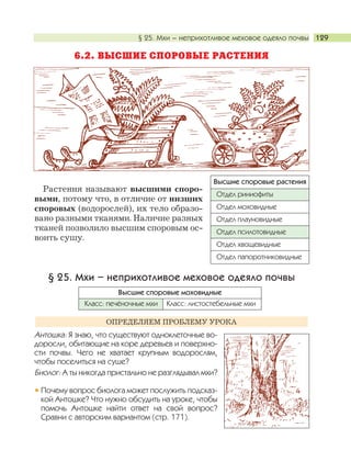 § 25. Мхи – неприхотливое меховое одеяло почвы 129
6.2. ВЫСШИЕ СПОРОВЫЕ РАСТЕНИЯ
Растения называют высшими споро-
выми, потому что, в отличие от низших
споровых (водорослей), их тело образо-
вано разными тканями. Наличие разных
тканей позволило высшим споровым ос-
воить сушу.
§ 25. Мхи – неприхотливое меховое одеяло почвы
Антошка: Я знаю, что существуют одноклеточные во-
доросли, обитающие на коре деревьев и поверхно-
сти почвы. Чего не хватает крупным водорослям,
чтобы поселиться на суше?
Биолог: А ты никогда пристально не разглядывал мхи?
Почему вопрос биолога может послужить подсказ-
кой Антошке? Что нужно обсудить на уроке, чтобы
помочь Антошке найти ответ на свой вопрос?
Сравни с авторским вариантом (стр. 171).
ОПРЕДЕЛЯЕМ ПРОБЛЕМУ УРОКА
Отдел риниофиты
Отдел моховидные
Отдел плауновидные
Отдел псилотовидные
Отдел хвощевидные
Отдел папоротниковидные
Класс: печёночные мхи Класс: листостебельные мхи
Высшие споровые моховидные
Высшие споровые растения
 