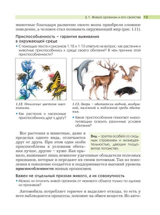 § 1. Живой организм и его свойства 13
животные благодаря развитию своего мозга приобрели сложное
поведение, а человек стал познавать окружающий мир (рис. 1.11).
Приспособленность – гарантия выживания
в окружающей среде
С помощью текста и рисунков 1.12 и 1.13 ответьте на вопрос: как растения и
животные приспособились к среде своего обитания? В чём причина этой
приспособленности?
Все растения и животные, даже в
пределах одного вида, отличаются
друг от друга. При этом одни особи
приспособлены к условиям обита-
ния лучше, другие – хуже. Как пра-
вило, выживают лишь немногие удачливые обладатели полезных
признаков, которые и передают их своим потомкам. Так из поко-
ления в поколение создаётся и поддерживается высокий уровень
приспособленности живых организмов.
Важен не отдельный признак живого, а их совокупность
Можно ли отличить живой организм от неживого объекта только по одному
из признаков?
Автомобиль потребляет горючее и выделяет отходы, то есть у
него наблюдаются процессы, похожие на обмен веществ. Но авто-
1.12. Опыление цветков насе-
комыми.
Как растения и насекомые
приспособились друг к другу?
1.13. Звери – обитатели водной, воздуш-
ной, наземной и подземной среды обита-
ния.
Какие приспособления помогают млеко-
питающим освоить различные условия
обитания?
Вид – группа особей со сход-
ным строением и жизнедея-
тельностью, дающих плодо-
витое потомство.
 