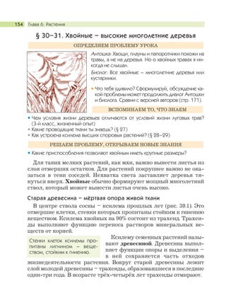 Глава 6. Растения154
§ 30–31. Хвойные – высокие многолетние деревья
Антошка: Хвощи, плауны и папоротники похожи на
травы, а не на деревья. Но о хвойных травах я ни-
когда не слышал.
Биолог: Все хвойные – многолетние деревья или
кустарники.
Что тебя удивило? Сформулируй, обсуждение ка-
кой проблемы может продолжить диалог Антошки
и биолога. Сравни с версией авторов (стр. 171).
Чем условия жизни деревьев отличаются от условий жизни луговых трав?
(3-й класс, жизненный опыт)
Какие проводящие ткани ты знаешь? (§ 27)
Как устроена ксилема высших споровых растений? (§ 28–29)
Какие приспособления позволяют хвойным иметь крупные размеры?
Для таких мелких растений, как мхи, важно вынести листья из
слоя отмерших остатков. Для растений покрупнее важно не ока-
заться в тени соседей. Нехватка света заставляет деревья тя-
нуться вверх. Хвойные обычно формируют мощный многолетний
ствол, который может вынести листья очень высоко.
Старая древесина – мёртвая опора живой ткани
В центре ствола сосны – ксилема прошлых лет (рис. 30.1). Это
отмершие клетки, стенки которых пропитаны стойким к гниению
веществом. Ксилема хвойных на 90% состоит из трахеид. Трахеи-
ды выполняют функцию переноса растворов минеральных ве-
ществ от корней.
Ксилему семенных растений назы-
вают древесиной. Древесина выпол-
няет функции опоры и выделения –
в ней сохраняется часть отходов
жизнедеятельности растения. Вокруг старой древесины лежит
слой молодой древесины – трахеиды, образовавшиеся в последние
один-три года. В возрасте трёх-четырёх лет трахеиды отмирают.
РЕШАЕМ ПРОБЛЕМУ, ОТКРЫВАЕМ НОВЫЕ ЗНАНИЯ
ВСПОМИНАЕМ ТО, ЧТО ЗНАЕМ
ОПРЕДЕЛЯЕМ ПРОБЛЕМУ УРОКА
Стенки клеток ксилемы про-
питаны лигнином – веще-
ством, стойким к гниению.
 