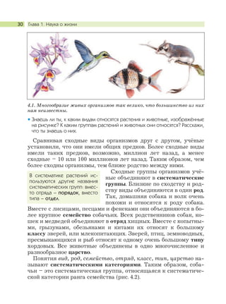 Глава 1. Наука о жизни30
Сравнивая сходные виды организмов друг с другом, учёные
установили, что они имели общих предков. Более сходные виды
имели таких предков, возможно, миллион лет назад, а менее
сходные – 10 или 100 миллионов лет назад. Таким образом, чем
более сходны организмы, тем ближе родство между ними.
Сходные группы организмов учё-
ные объединяют в систематические
группы. Близкие по сходству и род-
ству виды объединяются в один род.
Так, домашняя собака и волк очень
похожи и относятся к роду собака.
Вместе с лисицами, песцами и фенеками они объединяются в бо-
лее крупное семейство собачьих. Всех родственников собак, ко-
шек и медведей объединяют в отряд хищных. Вместе с копытны-
ми, грызунами, обезьянами и китами их относят к большому
классу зверей, или млекопитающих. Зверей, птиц, земноводных,
пресмыкающихся и рыб относят к одному очень большому типу
хордовых. Все животные объединены в одно многочисленное и
разнообразное царство.
Понятия вид, род, семейство, отряд, класс, тип, царство на-
зывают систематическими категориями. Таким образом, соба-
чьи – это систематическая группа, относящаяся к систематиче-
ской категории ранга семейства (рис. 4.2).
4.1. Многообразие живых организмов так велико, что большинство из них
нам неизвестны.
Знаешь ли ты, к каким видам относятся растения и животные, изображённые
на рисунке? К каким группам растений и животных они относятся? Расскажи,
что ты знаешь о них.
В систематике растений ис-
пользуются другие названия
систематических групп: вмес-
то отряда – порядок, вместо
типа – отдел.
 