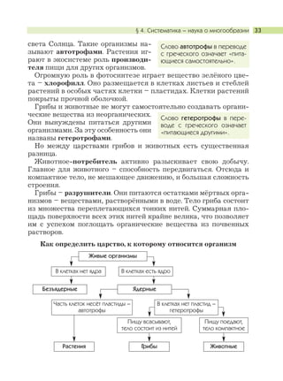 ГрибыРастения Животные
Безъядерные
§ 4. Систематика – наука о многообразии 33
света Солнца. Такие организмы на-
зывают автотрофами. Растения иг-
рают в экосистеме роль производи-
теля пищи для других организмов.
Огромную роль в фотосинтезе играет вещество зелёного цве-
та – хлорофилл. Оно размещается в клетках листьев и стеблей
растений в особых частях клетки – пластидах. Клетки растений
покрыты прочной оболочкой.
Грибы и животные не могут самостоятельно создавать органи-
ческие вещества из неорганических.
Они вынуждены питаться другими
организмами. За эту особенность они
названы гетеротрофами.
Но между царствами грибов и животных есть существенная
разница.
Животное-потребитель активно разыскивает свою добычу.
Главное для животного – способность передвигаться. Отсюда и
компактное тело, не мешающее движению, и большая сложность
строения.
Грибы – разрушители. Они питаются остатками мёртвых орга-
низмов – веществами, растворёнными в воде. Тело гриба состоит
из множества переплетающихся тонких нитей. Суммарная пло-
щадь поверхности всех этих нитей крайне велика, что позволяет
им с успехом поглощать органические вещества из почвенных
растворов.
Как определить царство, к которому относится организм
Слово автотрофы в переводе
с греческого означает «пита-
ющиеся самостоятельно».
Слово гетеротрофы в пере-
воде с греческого означает
«питающиеся другими».
В клетках нет ядра В клетках есть ядро
Часть клеток несёт пластиды –
автотрофы
Пищу всасывают,
тело состоит из нитей
Пищу поедают,
тело компактное
Живые организмы
Ядерные
В клетках нет пластид –
гетеротрофы
 
