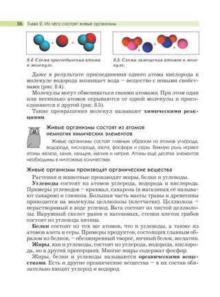 Глава 2. Из чего состоят живые организмы56
Даже в результате присоединения одного атома кислорода к
молекуле водорода возникает вода – вещество с новыми свойст-
вами (рис. 8.4).
Молекулы могут обмениваться своими атомами. При этом один
или несколько атомов отрываются от одной молекулы и присо-
единяются к другой (рис. 8.5).
Такие превращения молекул называют химическими реак-
циями.
Живые организмы состоят из атомов
немногих химических элементов
Живые организмы состоят главным образом из атомов углерода,
водорода, кислорода, азота, фосфора и серы. Важную роль играют
атомы железа, калия, кальция, магния и натрия. Атомы ещё десятка элементов
необходимы в ничтожных количествах.
Живые организмы производят органические вещества
Растения и животные производят жиры, белки и углеводы.
Углеводы состоят из атомов углерода, водорода и кислорода.
Примеры углеводов – крахмал, сахароза (в магазинах её называ-
ют сахаром) и глюкоза. Большая часть массы травы и древесины
приходится на молекулы целлюлозы (клетчатки). Целлюлоза –
нерастворимый в воде углевод. Вата состоит из чистой целлюло-
зы. Наружный скелет раков и насекомых, стенки клеток грибов
состоят из углевода хитина.
Белки состоят из тех же атомов, что и углеводы, а также из
атомов азота и серы. Примеры продуктов, состоящих главным об-
разом из белков, – обезжиренный творог, яичный белок, желатин.
Жиры, как и углеводы, состоят из углерода, водорода, кислоро-
да, но в других пропорциях. Многие жиры содержат фосфор.
Жиры, белки и углеводы называются органическими веще-
ствами. Есть и другие органические вещества – в их состав обя-
зательно входят углерод и водород.
8.4. Схема присоединения атома
к молекуле.
+ =
8.5. Схема замещения атомов в моле-
куле.
+
+
=
 