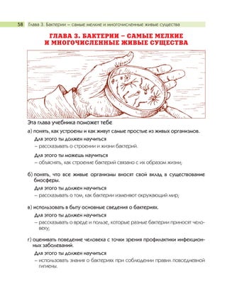 Глава 3. Бактерии – самые мелкие и многочисленные живые существа58
ГЛАВА 3. БАКТЕРИИ – САМЫЕ МЕЛКИЕ
И МНОГОЧИСЛЕННЫЕ ЖИВЫЕ СУЩЕСТВА
Эта глава учебника поможет тебе
а) понять, как устроены и как живут самые простые из живых организмов.
Для этого ты должен научиться
– рассказывать о строении и жизни бактерий.
Для этого ты можешь научиться
– объяснять, как строение бактерий связано с их образом жизни;
б) понять, что все живые организмы вносят свой вклад в существование
биосферы.
Для этого ты должен научиться
– рассказывать о том, как бактерии изменяют окружающий мир;
в) использовать в быту основные сведения о бактериях.
Для этого ты должен научиться
– рассказывать о вреде и пользе, которые разные бактерии приносят чело-
веку;
г) оценивать поведение человека с точки зрения профилактики инфекцион-
ных заболеваний.
Для этого ты должен научиться
– использовать знания о бактериях при соблюдении правил повседневной
гигиены.
 