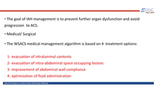 Wsacs Intra Abdominal Hypertension and Abdominal Compartment Syndrome in ...