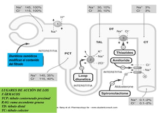 Rama Rag 270101649-Farmacologia-Diureticos-y-Antidiureticos.pptx