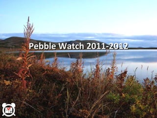 Pebble Watch 2011-2012 