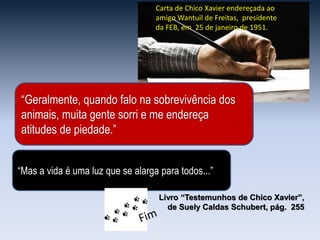 “Geralmente, quando falo na sobrevivência dos
animais, muita gente sorri e me endereça
atitudes de piedade.”
“Mas a vida é uma luz que se alarga para todos...”
Carta de Chico Xavier endereçada ao
amigo Wantuil de Freitas, presidente
da FEB, em 25 de janeiro de 1951.
Livro “Testemunhos de Chico Xavier”,
de Suely Caldas Schubert, pág. 255
 