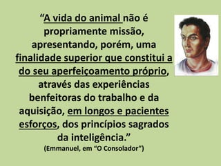 “A vida do animal não é
propriamente missão,
apresentando, porém, uma
finalidade superior que constitui a
do seu aperfeiçoamento próprio,
através das experiências
benfeitoras do trabalho e da
aquisição, em longos e pacientes
esforços, dos princípios sagrados
da inteligência.”
(Emmanuel, em “O Consolador”)
 