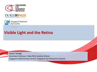 Visible Light and the Retina
Yasuo Yanagi
Associate Professor: Duke-NUS medical School
Singapore National Eye Centre/ Singapore Eye Research Institute
 