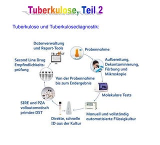 Tuberkulose und Tuberkulosediagnostik:
 