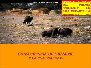 FUE LA GANADORA
                   DEL        PREMIO
                   "PULITZER"     EN
                   1994 DURANTE LA
                   HAMBRUNA       EN
                   SUDÁN.




CONSECUENCIAS DEL HAMBRE
    Y LA ENFERMEDAD
 