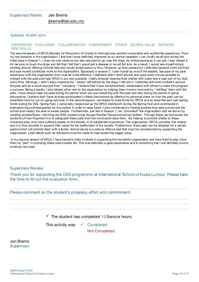 Ib cas essay picture