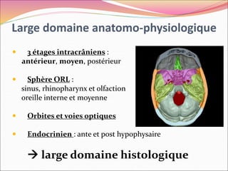 Large domaine anatomo-physiologique
 3 étages intracrâniens :
antérieur, moyen, postérieur
 Sphère ORL :
sinus, rhinopharynx et olfaction
oreille interne et moyenne
 Orbites et voies optiques
 Endocrinien : ante et post hypophysaire
 large domaine histologique
 