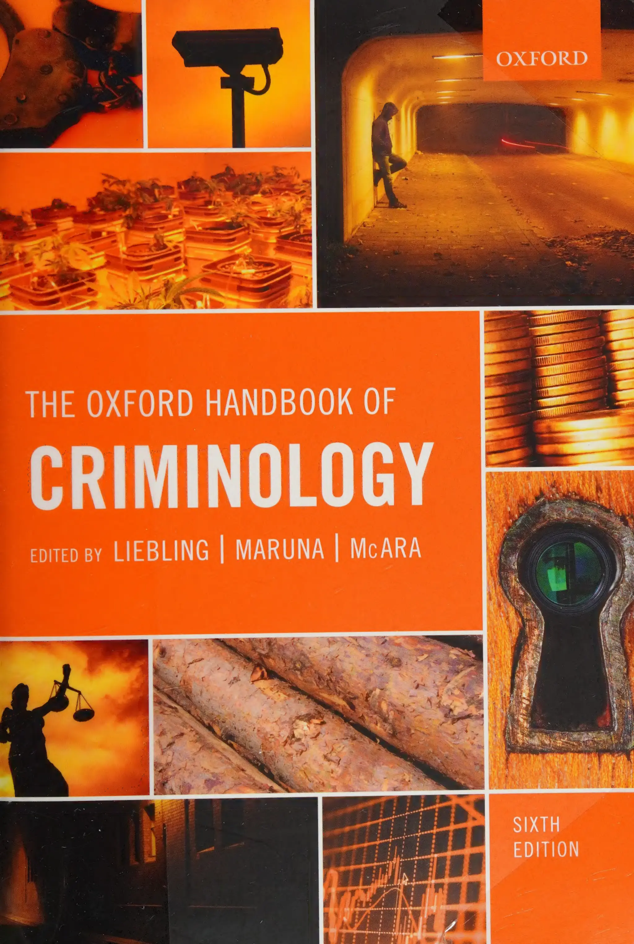 The Oxford Handbook Of Criminology 6th Edition Alison Liebling | PDF