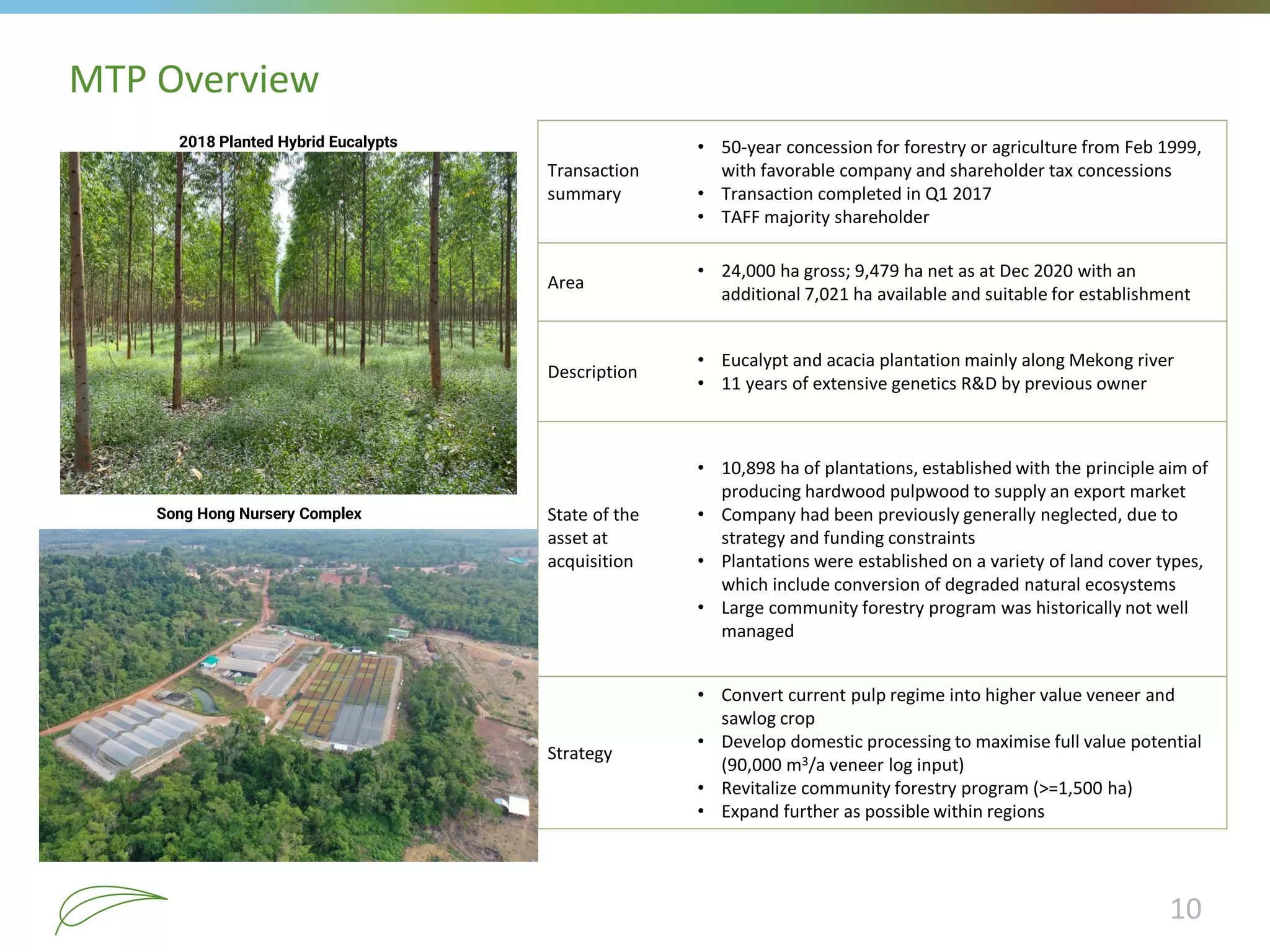 10
MTP Overview
Transaction
summary
• 50-year concession for forestry or agriculture from Feb 1999,
with favorable company and shareholder tax concessions
• Transaction completed in Q1 2017
• TAFF majority shareholder
Area
• 24,000 ha gross; 9,479 ha net as at Dec 2020 with an
additional 7,021 ha available and suitable for establishment
Description
• Eucalypt and acacia plantation mainly along Mekong river
• 11 years of extensive genetics R&D by previous owner
State of the
asset at
acquisition
• 10,898 ha of plantations, established with the principle aim of
producing hardwood pulpwood to supply an export market
• Company had been previously generally neglected, due to
strategy and funding constraints
• Plantations were established on a variety of land cover types,
which include conversion of degraded natural ecosystems
• Large community forestry program was historically not well
managed
Strategy
• Convert current pulp regime into higher value veneer and
sawlog crop
• Develop domestic processing to maximise full value potential
(90,000 m3/a veneer log input)
• Revitalize community forestry program (>=1,500 ha)
• Expand further as possible within regions
Song Hong Nursery Complex
2018 Planted Hybrid Eucalypts
 