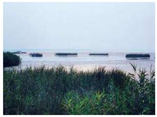 Одесская область (27 февраля 1932 г.)