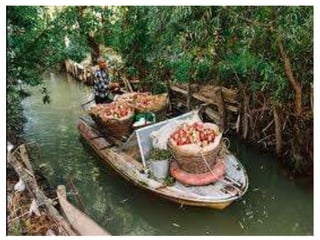 Одесская область (27 февраля 1932 г.)