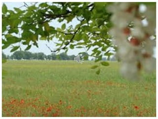 Одесская область (27 февраля 1932 г.)