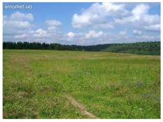 Одесская область (27 февраля 1932 г.)