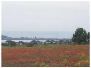 Одесская область (27 февраля 1932 г.)