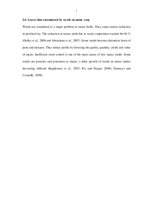 essay ????????? ?? ??????? holder