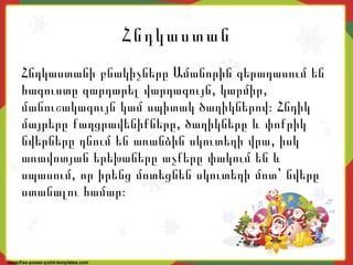 Հնդկաստան
Հնդկաստանի բնակիչները Ամանորին գերադասում են
, ,հագուստը զարդարել վարդագույն կարմիր
մանուշակագույն կամ սպիտակ ծաղիկներով։ Հնդիկ
,մայրերը քաղցրավենիքները ծաղիկները և փոքրիկ
,նվերները դնում են առանձին սկուտեղի վրա իսկ
առավոտյան երեխաները աչքերը փակում են և
,սպասում որ իրենց մոտեցնեն սկուտեղի մոտ՝ նվերը
ստանալու համար։
 
