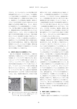 放射化学 第 27 号 2013, pp.12-19

すなわち、セシウムの分子レベルの化学種や化学

射性ヨウ素（I-131）は無視出来るほど減衰して

的素過程を考えるということである。その把握な

おり、この放射能分布は放射性セシウムの分布と

しに今回の事故による放射性セシウムの環境中

みなせる。ここで注目すべき点は、放射能が弱い

での移行挙動の正しい理解や将来予測はできな

もしくは放射能を殆ど持たない粒子の中に強い

い。放射性セシウムが事故時に福島第一原発から

放射能を持つ粒子が混在していることである。も

どのような化学形態で大気中に放出されたかを

し放射性物質を含む粒子が非放射性の通常のエ

把握するのは非常に困難である。さらに、放出さ

アロゾルと同じ数だけあれば、図 1 のような不均

れた放射性セシウムは放射能濃度としては高く

一な放射能分布は観察されないはずである。すな

ても、原子数に換算すると極めて微量であるため

わち、この不均一な分布は、福島第一原発から放

に、環境試料分析から化学形態を明らかにするの

出された放射性セシウムを高濃度に含む粒子が

は容易ではない。しかし、少なくとも現在示す環

他の通常のエアロゾル粒子の中に極めて少数存

境中での化学状態を把握しなければ、今後の放射

在しており、それらがともに大気中を輸送された

性セシウムの二次的移行を正確に予想すること

ことを反映したものと考えられる。

はできない。したがって、
現在得られる試料から、

 このような高い放射能を持つ粒子の走査型電

放射性セシウムの化学状態に関する情報を最大

子顕微鏡（SEM-EDX）を用いた観察及び化学組

限に引き出す必要がある。本稿では、著者が共同

成分析を行ったが、原子数として数が少ないこ

研究者とともに行ったこれまでの調査・研究の成

とやおそらく粒子サイズが小さいことから、ど

果を中心にして環境中での放射性セシウムの分

のような粒子が放射性セシウムの担体になって

布やその挙動について紹介する。

いるのかは特定することが出来なかった。しか
し、少なくともエアロゾル粒子中の放射性セシ

2．大気中に放出された放射性セシウム

ウムが水溶性かどうかを評価するだけでも意味

 2011 年 3 月福島第一原発事故後に、川崎市公

があり、その後の陸上への沈着及び移行過程を

害研究所にて採取されたエアロゾル試料の光学

議論する上で重要な化学的情報となる。そこで、

写真像とオートラジオグラフ像をそれぞれ
（図 1）

2011 年 3 月に採取したいくつかのエアロゾルフィ

7

に示した。 エアロゾル試料は地上から 12 m でハ

ルターを純水に浸してエアロゾル粒子に含まれ

イボリュームエアサンプラーを用いて採取した。

る放射性セシウムの水溶解性を調べたところ、50

光学写真像の灰色部はエアロゾル粒子を示して

∼ 90% の放射性セシウムが水溶性であることが

おり、フィルター上にエアロゾル粒子が均質に捕

7
明らかとなった。 したがって、少なくともエア

集されていることがわかる。一方で、同試料の

ロゾル中の放射性セシウムには比較的水に溶け

オートラジオグラフ像（主に γ 線を出す放射性核

易い化学種が含まれていることが示された。その

種の分布を表す）には不均一な黒点の分布が認め

ため、湿性沈着では、エアロゾル中の放射性セシ

られる。なお、本試料の測定を行った時点では放

ウムが雨粒中に一旦溶解したことを示唆する。ま

(a)

た、放射性セシウムを含むエアロゾルが地面に乾

(b)

性沈着した場合でも、降雨などによって多くの放
射性セシウムが水に一旦溶けたことを示唆する。
このように、限られた化学的情報であっても実試
料を用いて放射性セシウムの化学状態に関する
知見が得られれば、その後の移行過程を考える上
で重要な情報となる。

5 cm
3．地表に沈着した放射性セシウム

図 1 2011 年 3 月 21 日から 22 日にかけて川崎市で採
取したエアロゾルフィルター試料の
（a）
オートラ
ジオグラフ像、及び
（b）
光学写真像。

3.1. 土壌への沈着
 環境中に放出された放射性セシウムは大気を

13

 