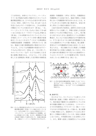 放射化学 第 27 号 2013, pp.12-19

ことが出来る。水和セシウムイオン、バーミキュ

面錯体（外圏錯体）と呼ぶ（図 7b）
。内圏錯体は

ライト及び福島の試料に吸着されたセシウムの

外圏錯体よりも安定であり、福島で採取した実試

動径構造関数には、2 つの Cs-O 結合の寄与がみ

料において内圏錯体の寄与がみられることは、セ

られる（図 6）
。水和イオンでは、R+ΔR = 2.4 Å

シウムがこれらの試料に強く吸着され、安定に存

付近に Cs-O1 のピークが認められ、これは水和水

在し得ることの強力な裏付けとなる。

の酸素とセシウムの結合を示す（図 6a）
。一方、

 上述の EXAFS の結果は、試料中に含まれる放

バーミキュライトでは、Cs-O1 に加えて R+Δ R

射性セシウムと比較して、多量に添加した安定同

= 3.5 Å 付近にもう一つのピーク Cs-O2 が現れる

位体セシウムが示す構造である。しかし、原子数

（図 6b）
。これは吸着されたセシウムとセシウム

から見てかなり少ない放射性セシウムが同様の

を吸着したバーミキュライトが持つ酸素が直接

構造か、むしろより安定な構造を示す可能性が高

16

結合していることを示す。 このような吸着種は

い。すでに述べたような土壌や河川懸濁粒子に見

内圏型表面錯体（内圏錯体）と呼ばれている（図

られる放射性セシウムの強い吸着は、粘土鉱物・

7a）
。福島の土壌や堆積物試料に吸着されたセシ

雲母などへの内圏錯体の生成に由来していると

ウムにも、このような内圏錯体の形成を示すピー

考えられる。一度土壌粒子などに吸着して内圏錯

。これに対して、
ク Cs-O2 が見られた（図 6c, d）

体を形成すると容易には脱着しないために、それ

2+

カルシウムイオン（Ca ）などでは水和したまま

が土壌や河川懸濁粒子中で見られる放射性セシ

粘土鉱物に吸着される。このように、イオンが水

ウムのミクロスケールでの顕著な不均一性を生

和したまま静電的に吸着した化学種を外圏型表

み出していると解釈できる（図 2 ・5）
。
(b)

Fourier transform magnitude

(a)

H2O

Cs

(d)

Ca

2+

+

図 7 2:1 型の層状珪酸塩鉱物に吸着した Cs イオン
2+
+
及び Ca イオンの模式図。
（a）Cs イオンは内
2+
圏錯体を形成し、
（b）Ca イオンは外圏錯体を
形成する。

(c)

(b)
6. おわりに
 以上のように、セシウムという元素としての

(a)
0

性質を強く意識して調査・研究を行うことによっ

1

2
3
R + ǻ5 (Å )

4

5

て、現在福島で観測される放射性セシウムの分
布や挙動を理解することが出来る。ミクロスケー
ルでの不均質性は、
マクロスケール（数メートル）

図 6 Cs L III 吸収端 EXAFS スペクトルから得られた
動径構造関数（位相シフトの補正は行っていな
い）（a） 水和イオン、b） を吸着させたバー
。 Cs
（ Cs
ミキュライト、
（c）Cs を吸着させた堆積物、
（d）
Cs を吸着させた土壌、を示す。堆積物及び土壌
は福島で採取した試料を用いた。実線は測定結
果、点線はフィッティング結果をそれぞれ示す。

でもやはり不均質分布となって現れる。粘土鉱物
への強い吸着により、放射性セシウムは主に粒子
態として環境中を移行していくが、容易には脱着
しないために、不均質性を保ったまま移行してい
く。また、樹葉へ沈着した放射性セシウムも具体

17

 