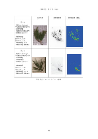 放射化学 第 27 号 2013

Fig.3-a
図 3-a
Pinus thunbergii

2011/6/9

2011/6/24, 19:00 2011/6/27, 15:45
68.8h

Fig.3-b
図 3-b
Pinus thunbergii

2011/5/17

2011/5/17, 17:30 2011/5/24, 11:20
165.3h

図 3 松のイメージングプレート画像

49

 