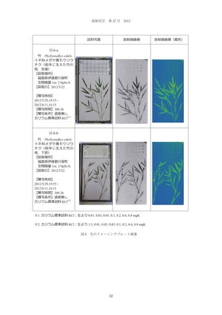 放射化学 第 27 号 2013

Fig.6-a
図 6-a
Phyllostadhys edulis

1m: 2.9 Sv/h
2012/5/22

2012/5/29,19:55 2012/6/11,16:15
308.3h
KCl

1

Fig. 6-a
図 6-b
Phyllostadhys edulis

1m: 2.9 Sv/h
2012/5/22

2012/5/29,19:55 2012/6/11,16:15
308.3h
KCl

2

1.

KCl

0.01, 0.03, 0.05, 0.1, 0.2, 0.4, 0.8 mgK

2.

KCl

1.5, 0.01, 0.03, 0.05, 0.1, 0.2, 0.4, 0.8 mgK
図 6 竹のイメージングプレート画像

52

 