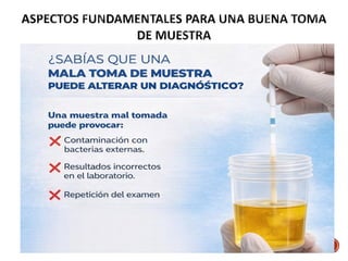 Comprehensive Guide to Urine and Stool Sample Collection and Analysis ...
