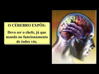 O CÉREBRO EXPÔS:
 Devo ser o chefe, já que
mando no funcionamento
      de todos vós.
 