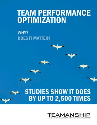 Team Performance
Optimization
Why?
Does it Matter?
Studies show it does
by up to 2,500 Times
TEAMANSHIPtHE aRT OF uNLEASHING hIGH pERFORMANCE tEAMS
 